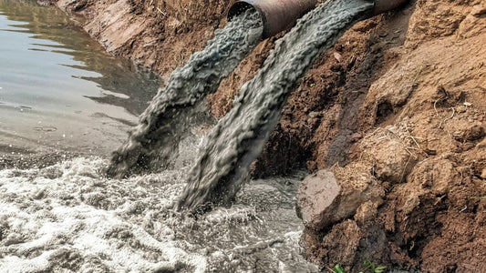 smutsigt vatten från avlopp spolas ut i allmänt vatten