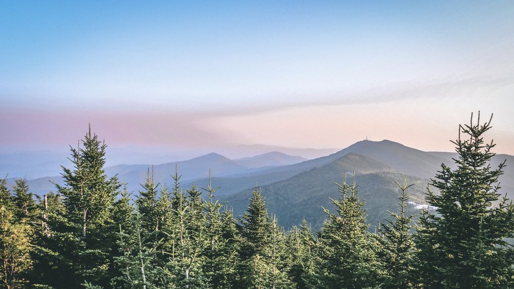 norrbotten natur granar och berg