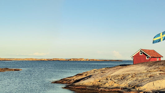 östersjön bräckt vatten