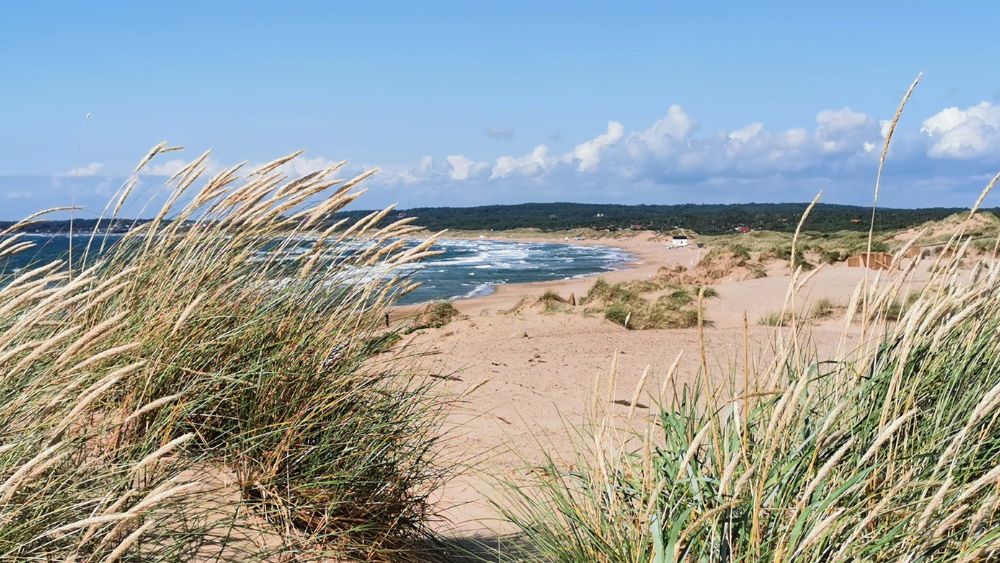 Halmstad vattenkvalitet 