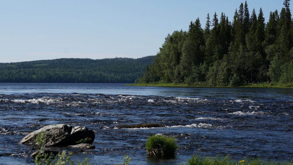 vattenkvalitet-jamtland