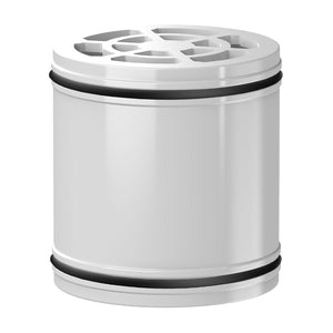 ShowerPro Rain filterpatron