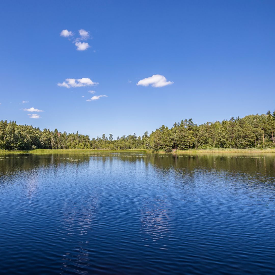 Sjövatten Vattenanalys