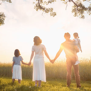 trygga hemmet plus inklusive pfas